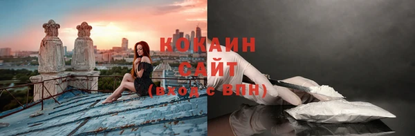 мет Гусев