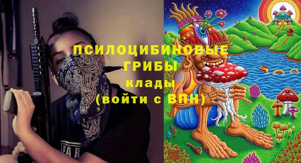 марки lsd Гусь-Хрустальный