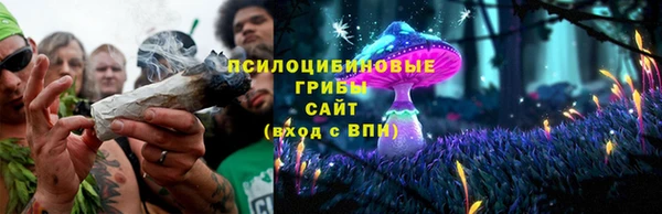 мет Гусев