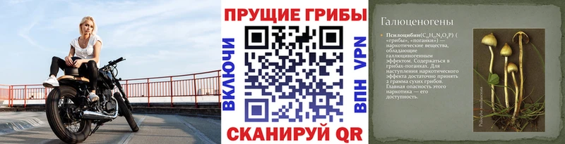 Галлюциногенные грибы мухоморы  где можно купить   Рыбинск 
